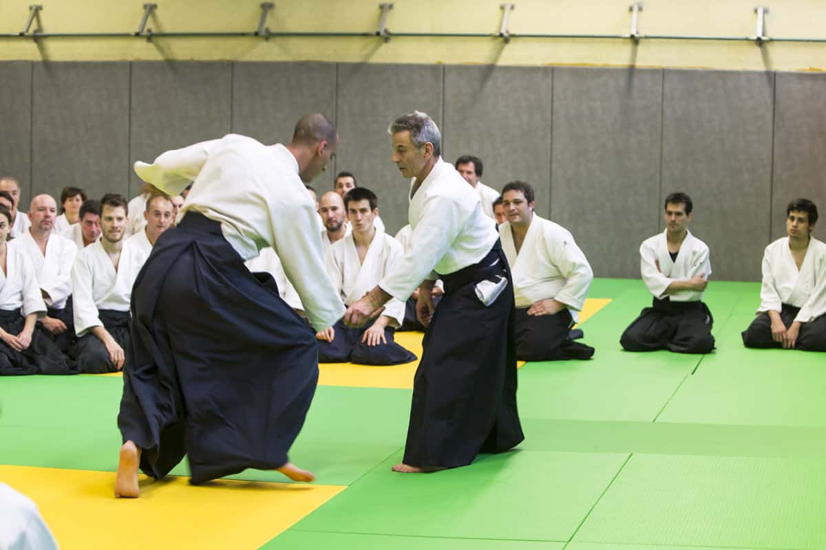 Stage-Aikido-Lyonnais-2013-01-Tous-niveaux-17
