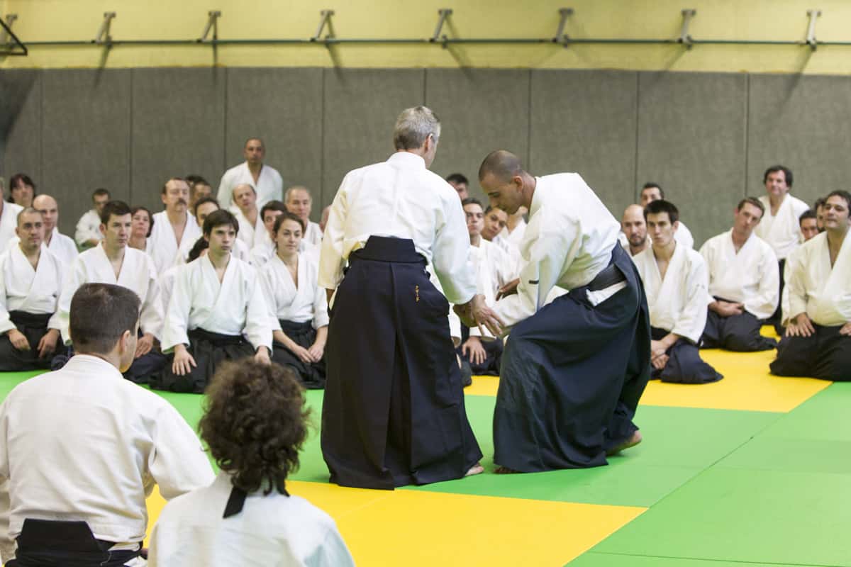 Stage-Aikido-Lyonnais-2013-01-Tous-niveaux-18