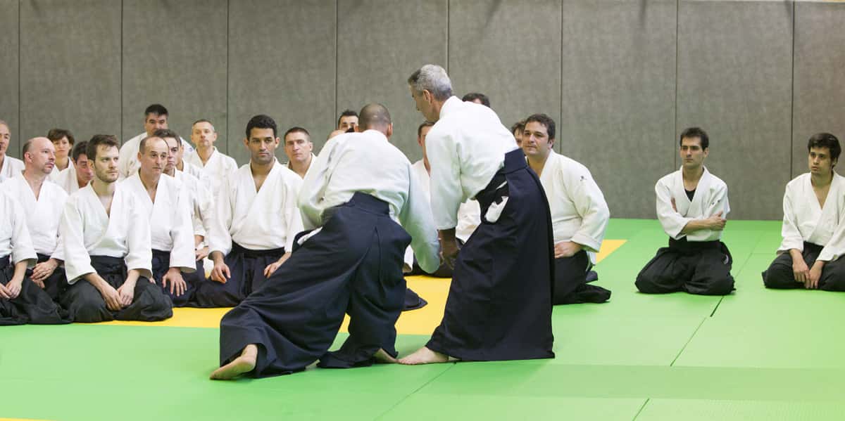 Stage-Aikido-Lyonnais-2013-01-Tous-niveaux-19