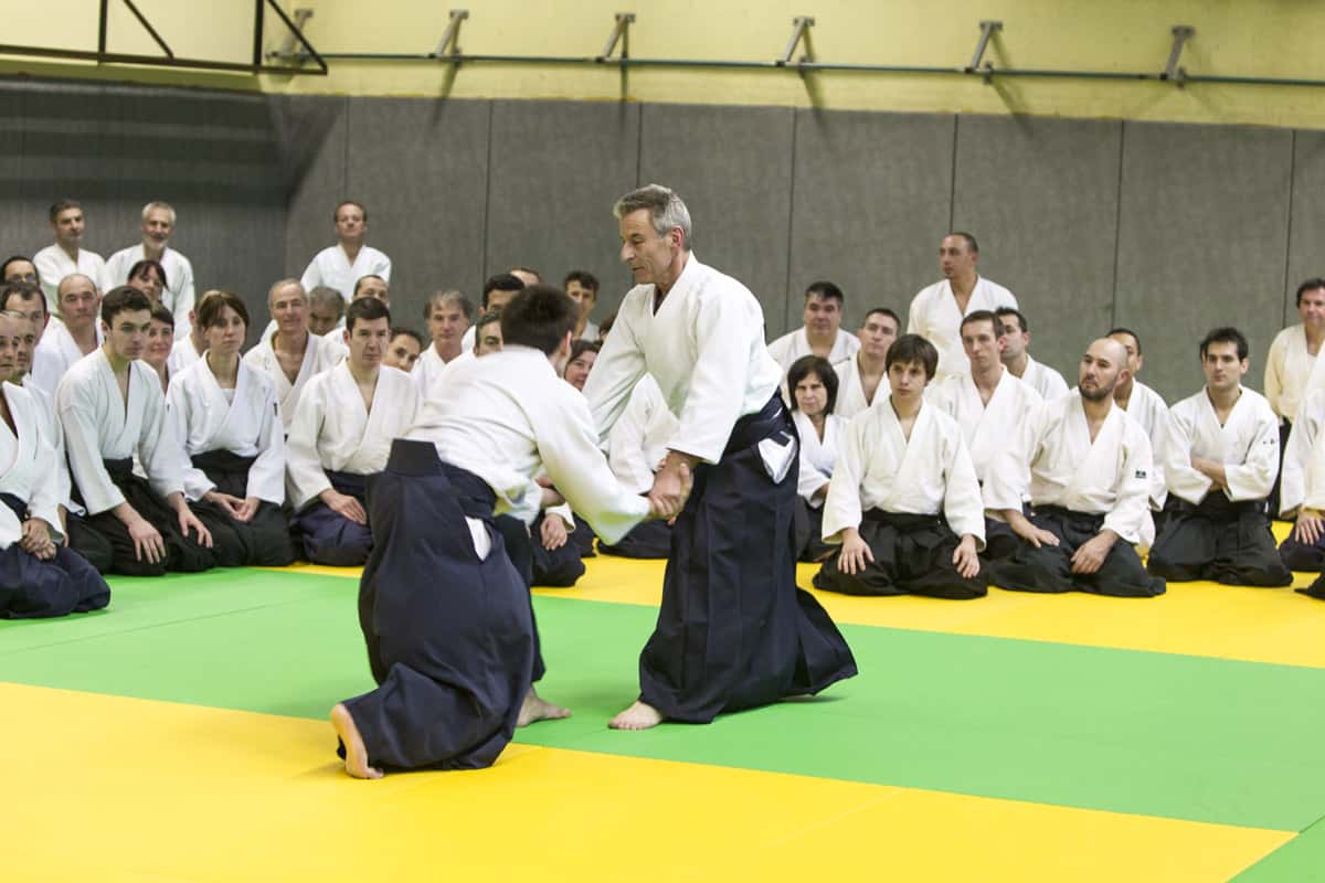 Stage-Aikido-Lyonnais-2013-01-Tous-niveaux-20
