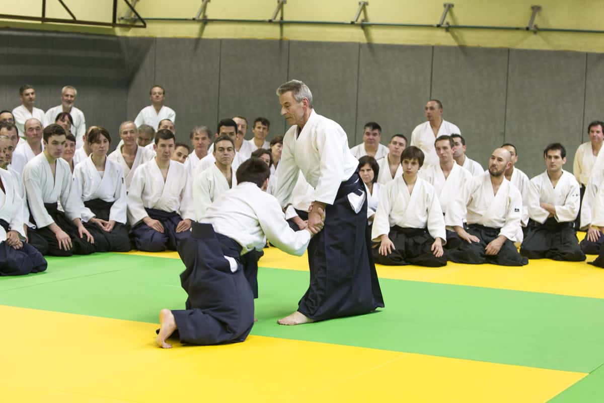 Stage-Aikido-Lyonnais-2013-01-Tous-niveaux-21