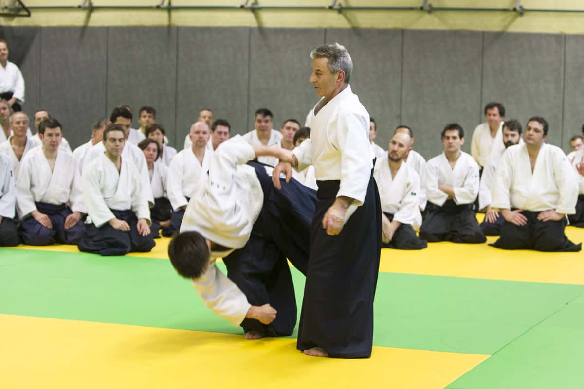 Stage-Aikido-Lyonnais-2013-01-Tous-niveaux-22