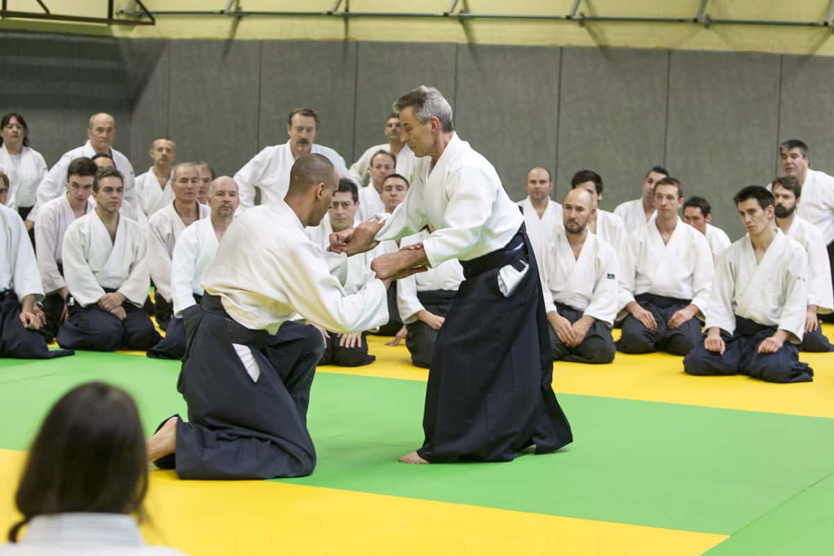 Stage-Aikido-Lyonnais-2013-01-Tous-niveaux-23