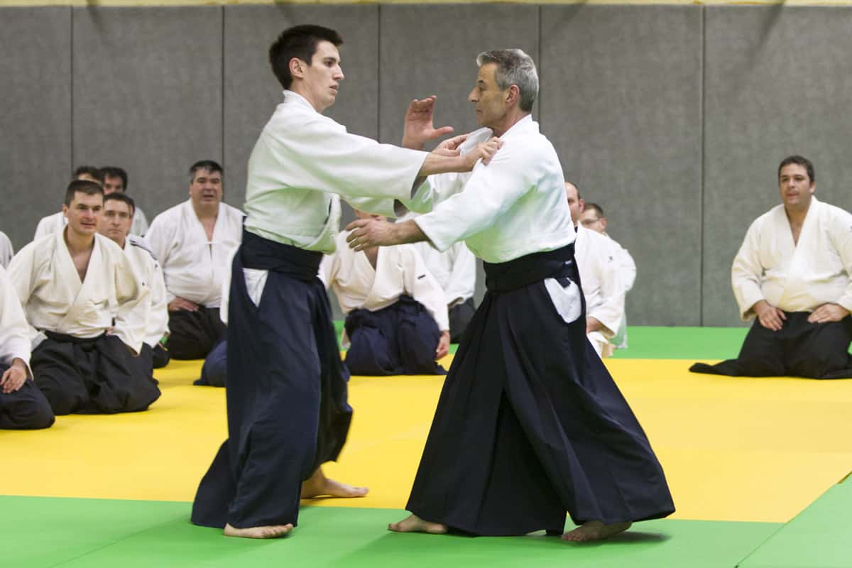Stage-Aikido-Lyonnais-2013-01-Tous-niveaux-27
