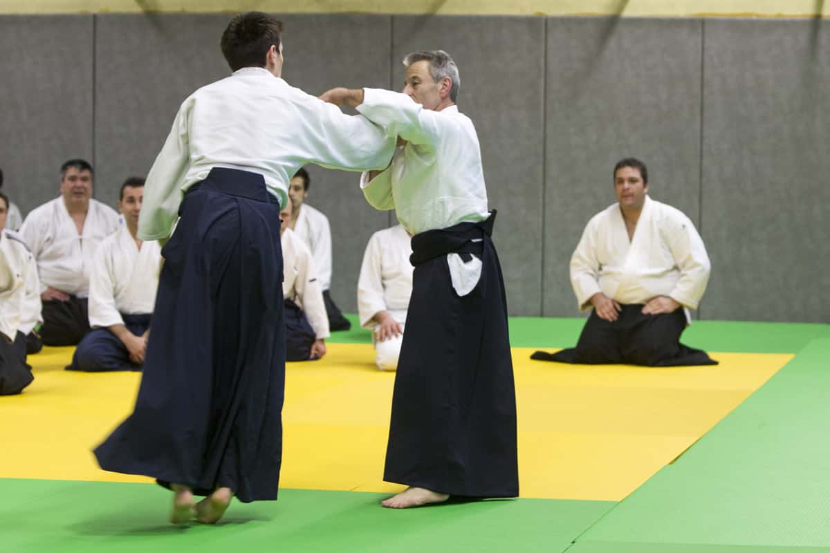 Stage-Aikido-Lyonnais-2013-01-Tous-niveaux-28