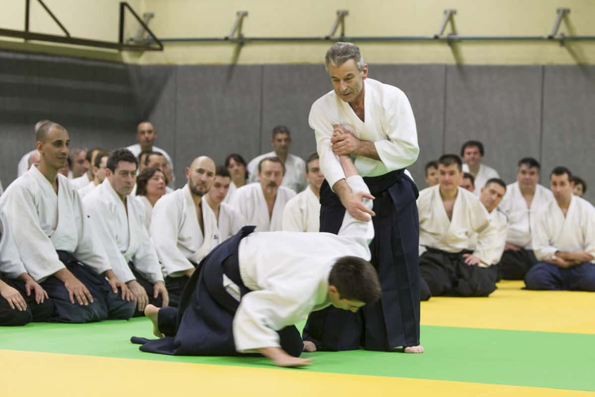 Stage-Aikido-Lyonnais-2013-01-Tous-niveaux-32