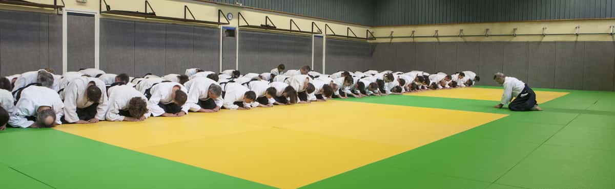 Stage-Aikido-Lyonnais-2013-01-Tous-niveaux-34