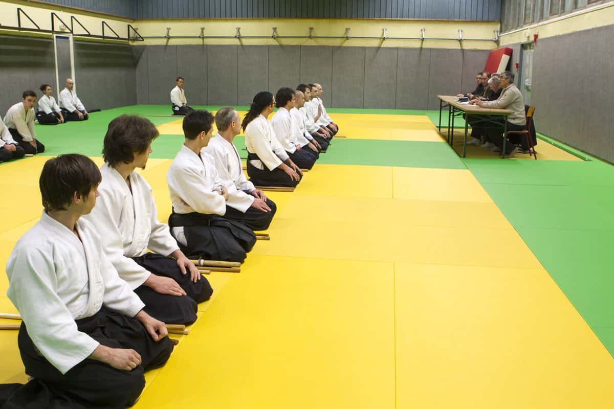 Stage-Aikido-Lyonnais-2013-01-Tous-niveaux-37
