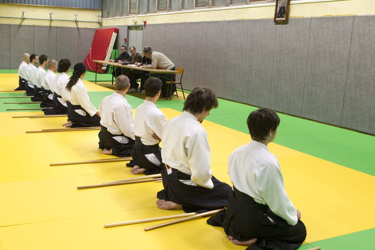 Stage-Aikido-Lyonnais-2013-01-Tous-niveaux-38