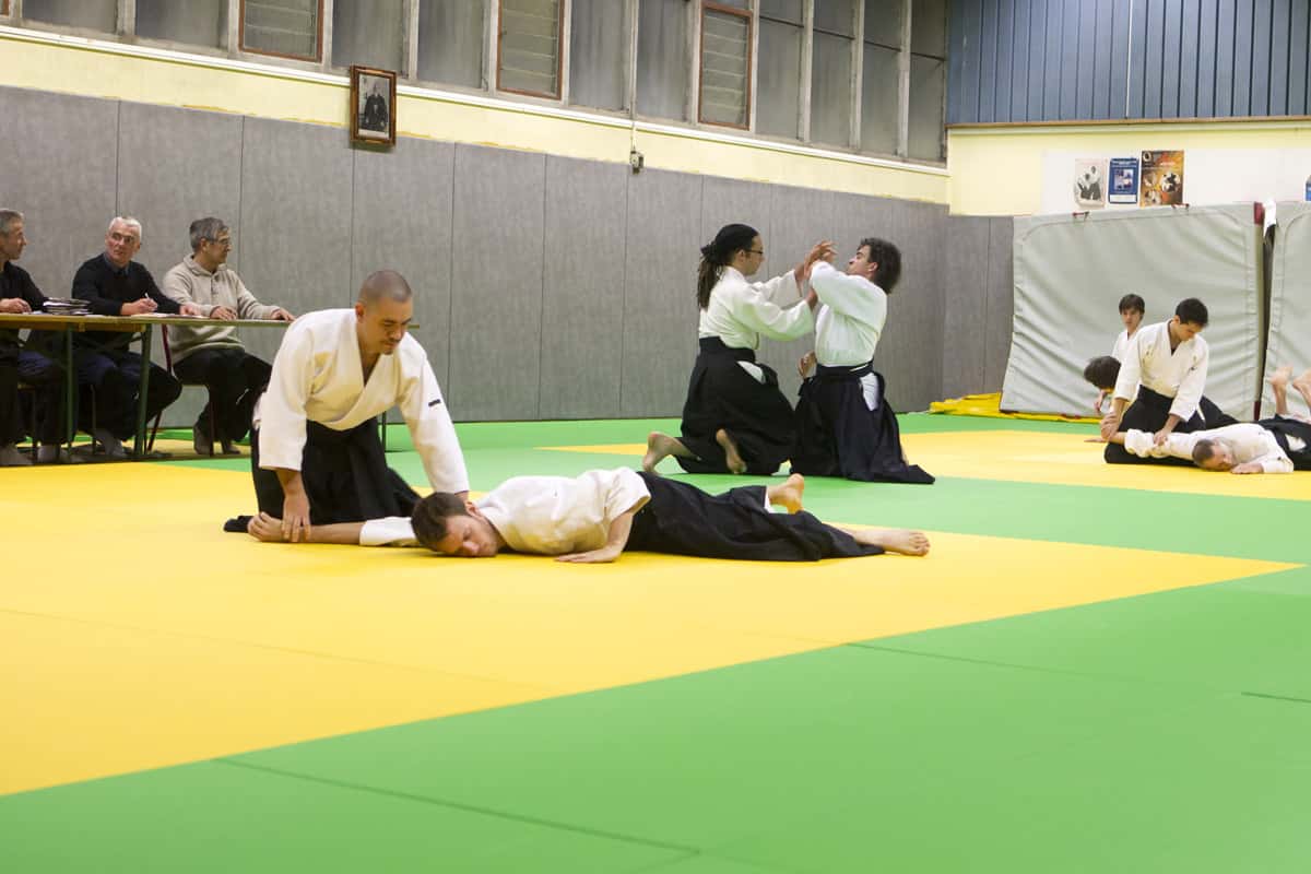 Stage-Aikido-Lyonnais-2013-01-Tous-niveaux-39