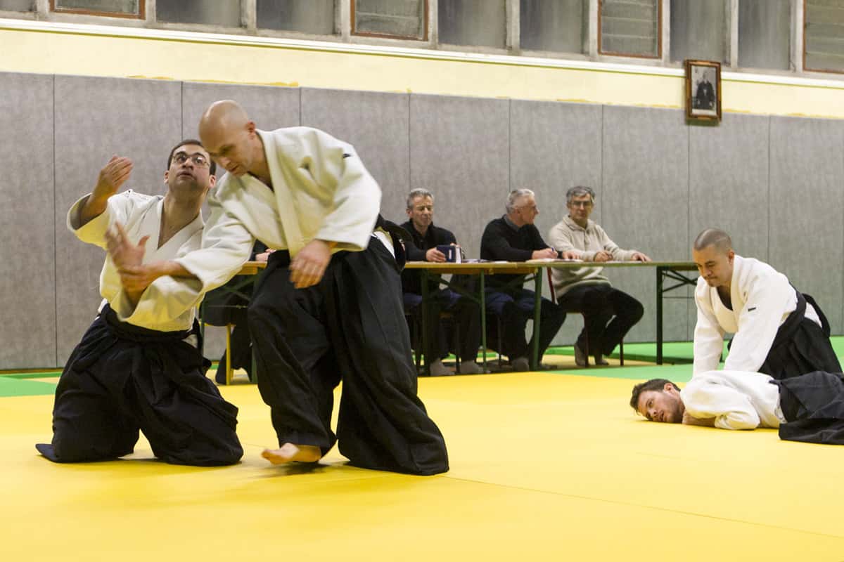 Stage-Aikido-Lyonnais-2013-01-Tous-niveaux-40