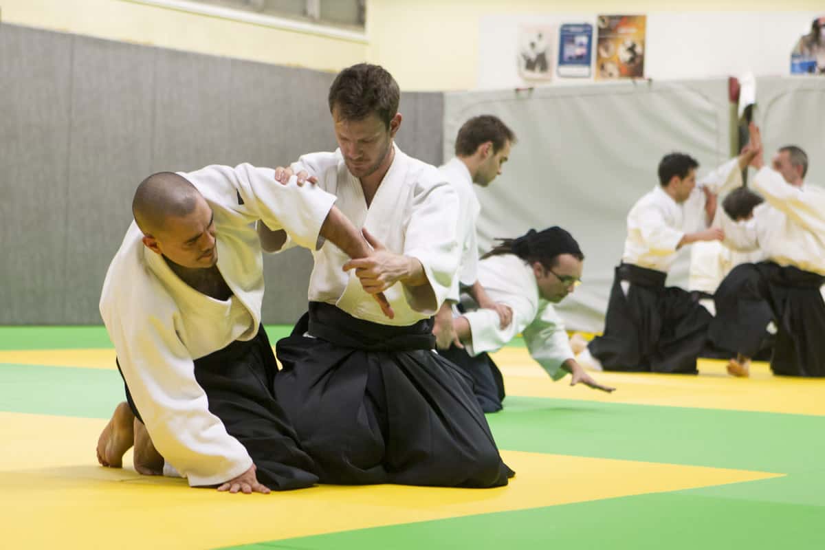 Stage-Aikido-Lyonnais-2013-01-Tous-niveaux-41
