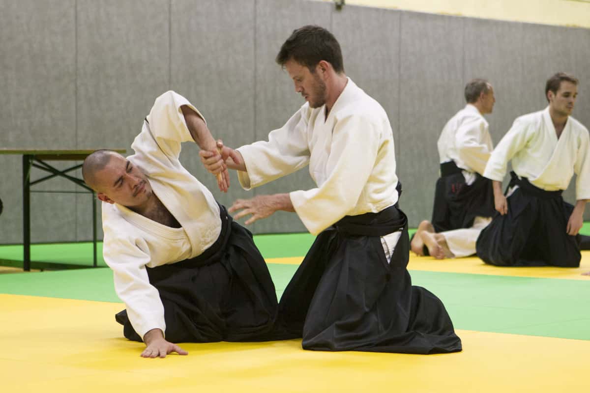 Stage-Aikido-Lyonnais-2013-01-Tous-niveaux-42