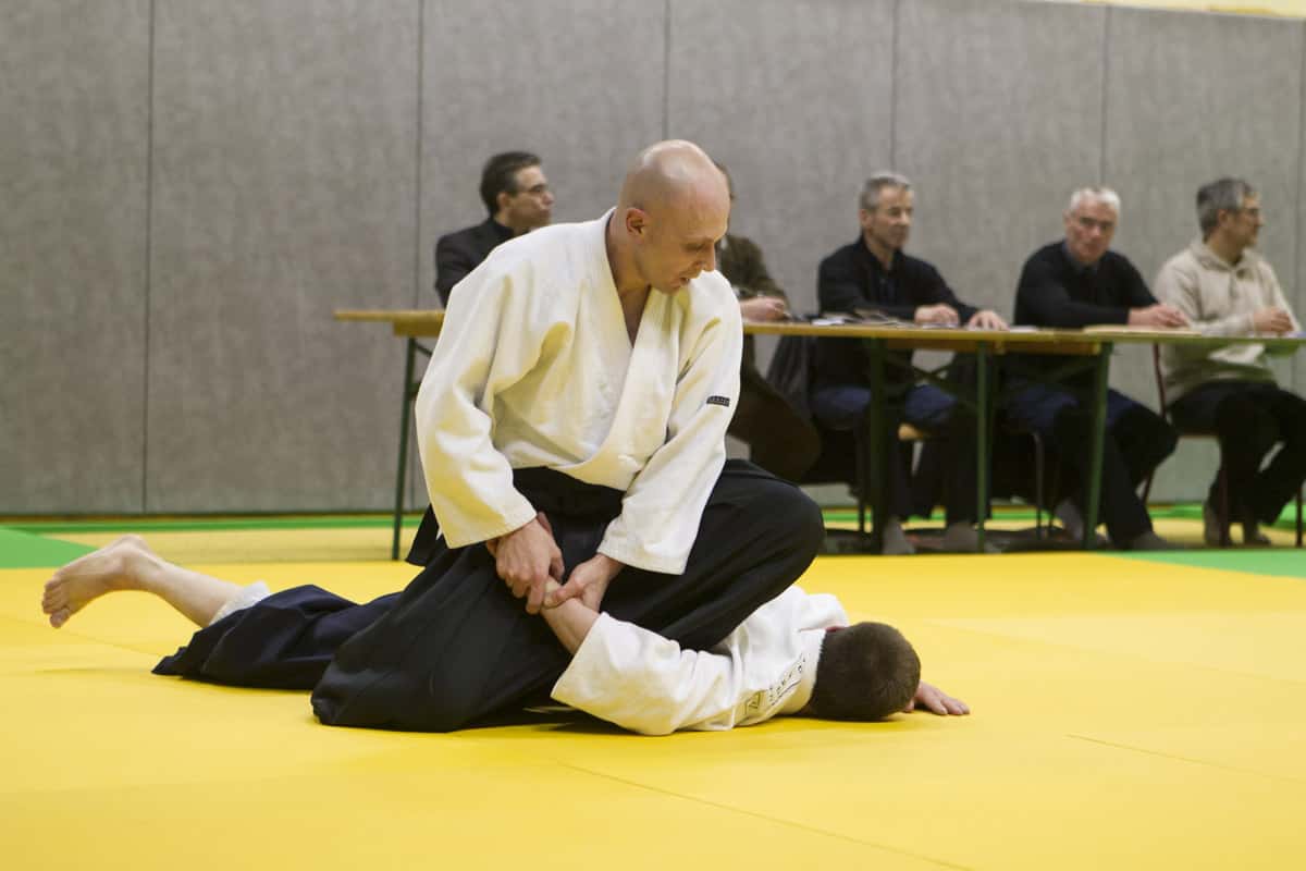 Stage-Aikido-Lyonnais-2013-01-Tous-niveaux-43