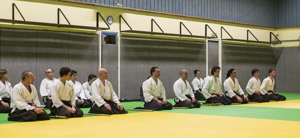 Stage-Aikido-Lyonnais-2013-01-Tous-niveaux-44