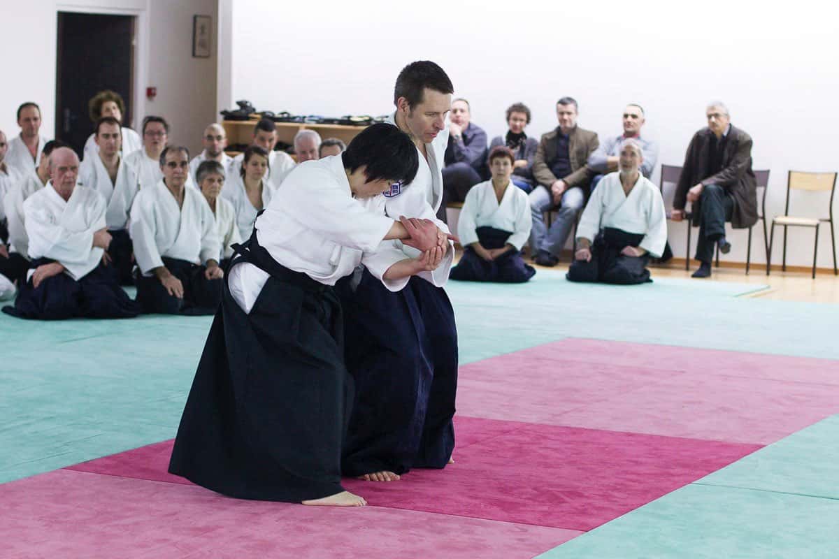 Stage-Aikido-Lyonnais-2013-04-Takamizo-Shihan-23
