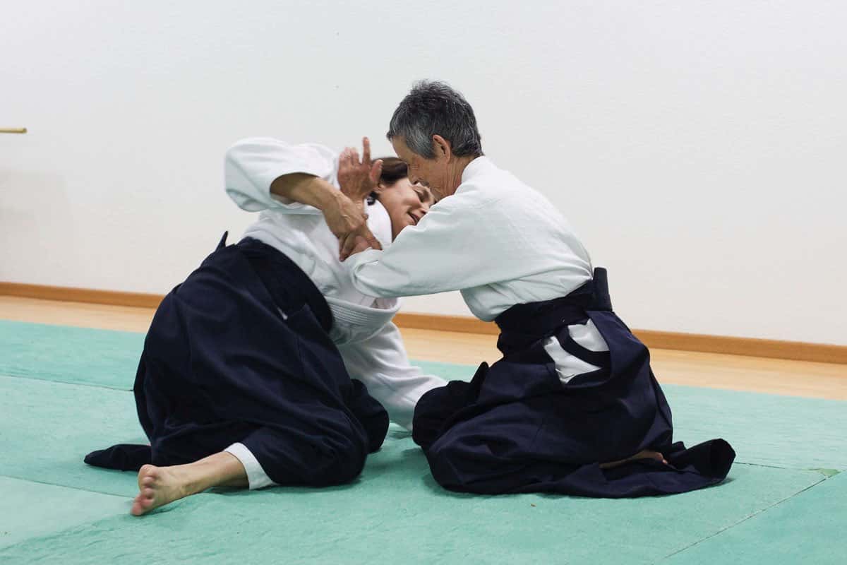 Stage-Aikido-Lyonnais-2013-04-Takamizo-Shihan-46
