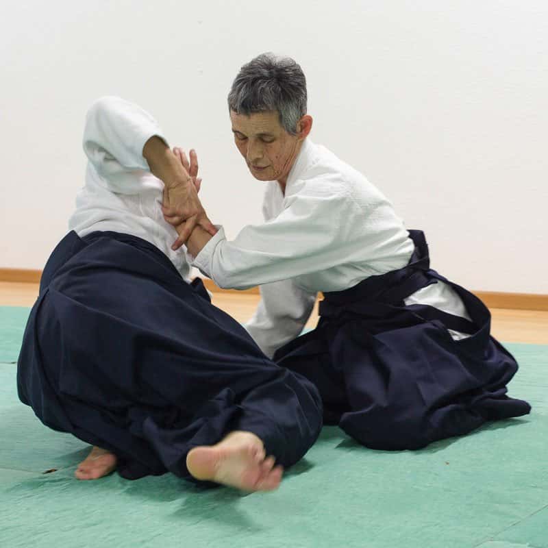Stage-Aikido-Lyonnais-2013-04-Takamizo-Shihan-48