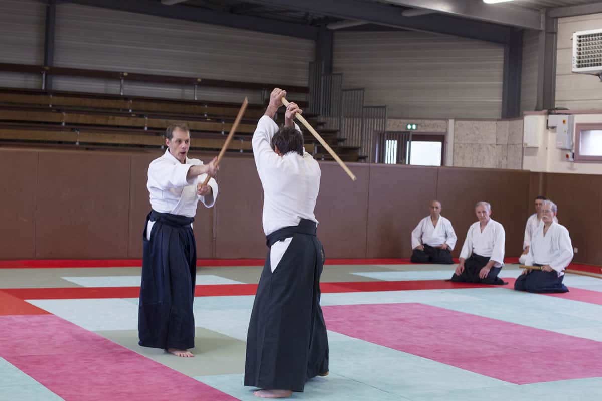 Stage-Aikido-Lyonnais-2013-04-Tous-Niveaux-Irigny-19