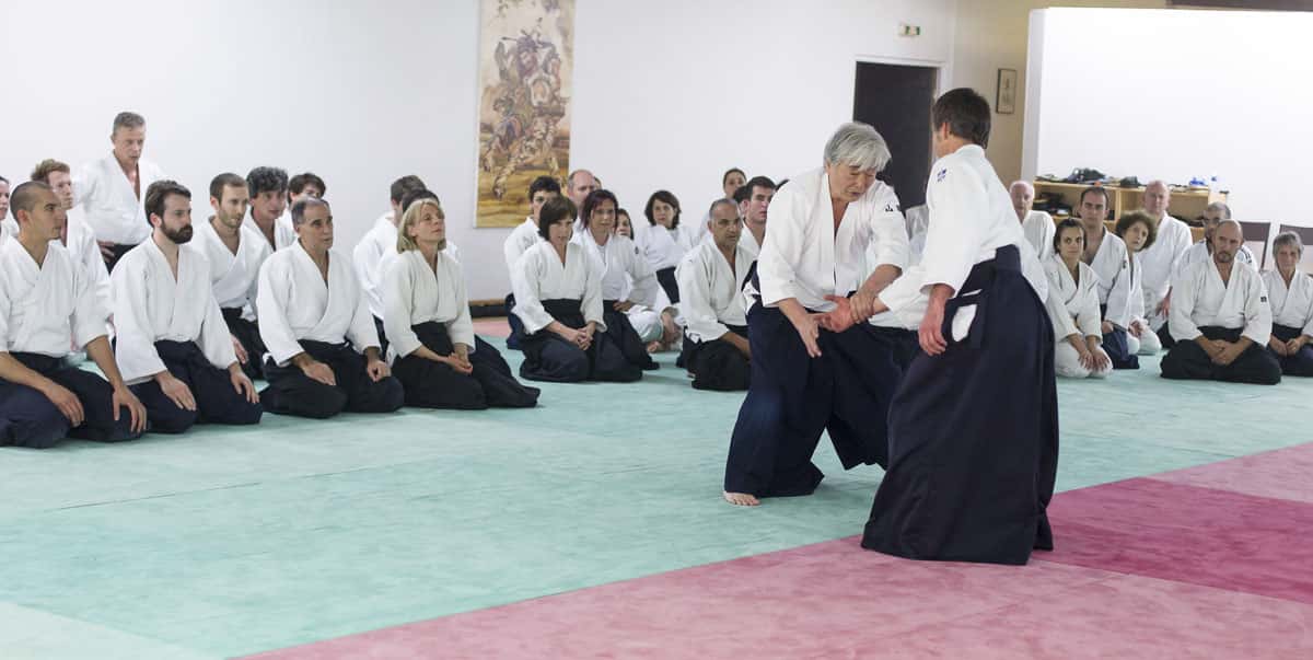 Stage-Aikido-Lyonnais-2013-05-29-Yamada-Sensei-09