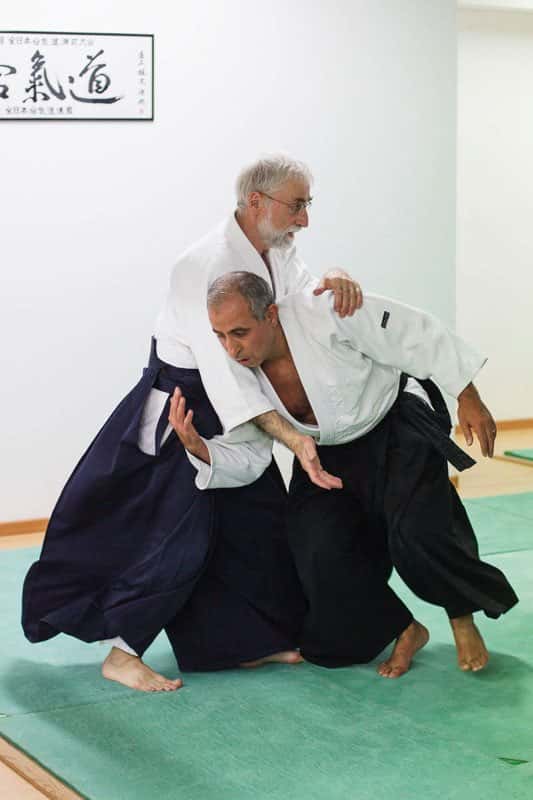 Stage-Aikido-Lyonnais-2013-05-29-Yamada-Sensei-12