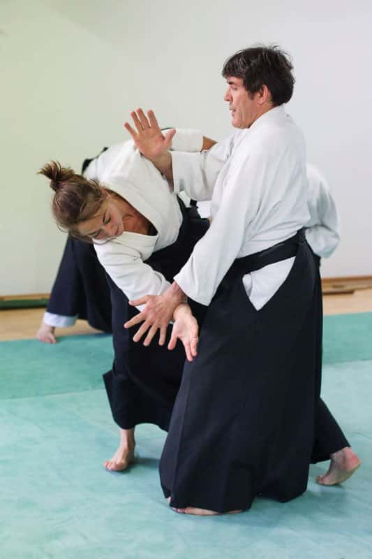 Stage-Aikido-Lyonnais-2013-05-29-Yamada-Sensei-16