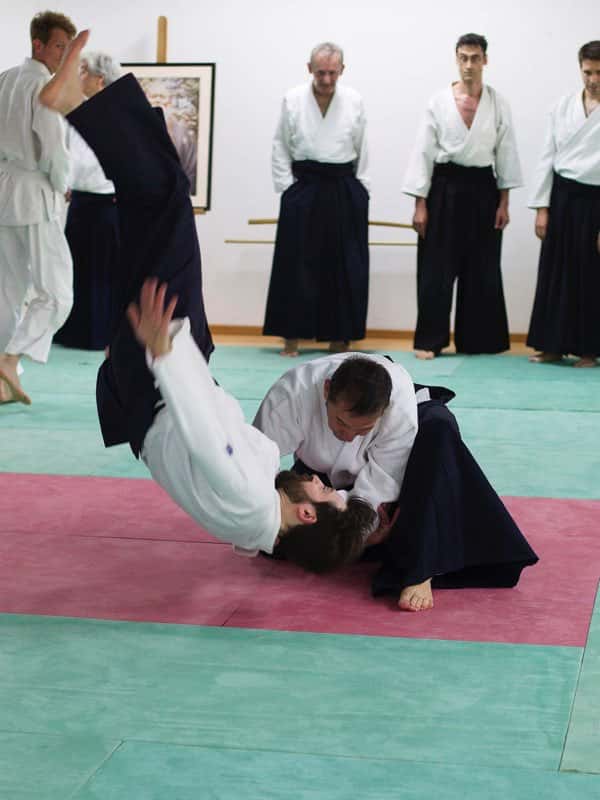 Stage-Aikido-Lyonnais-2013-05-29-Yamada-Sensei-27
