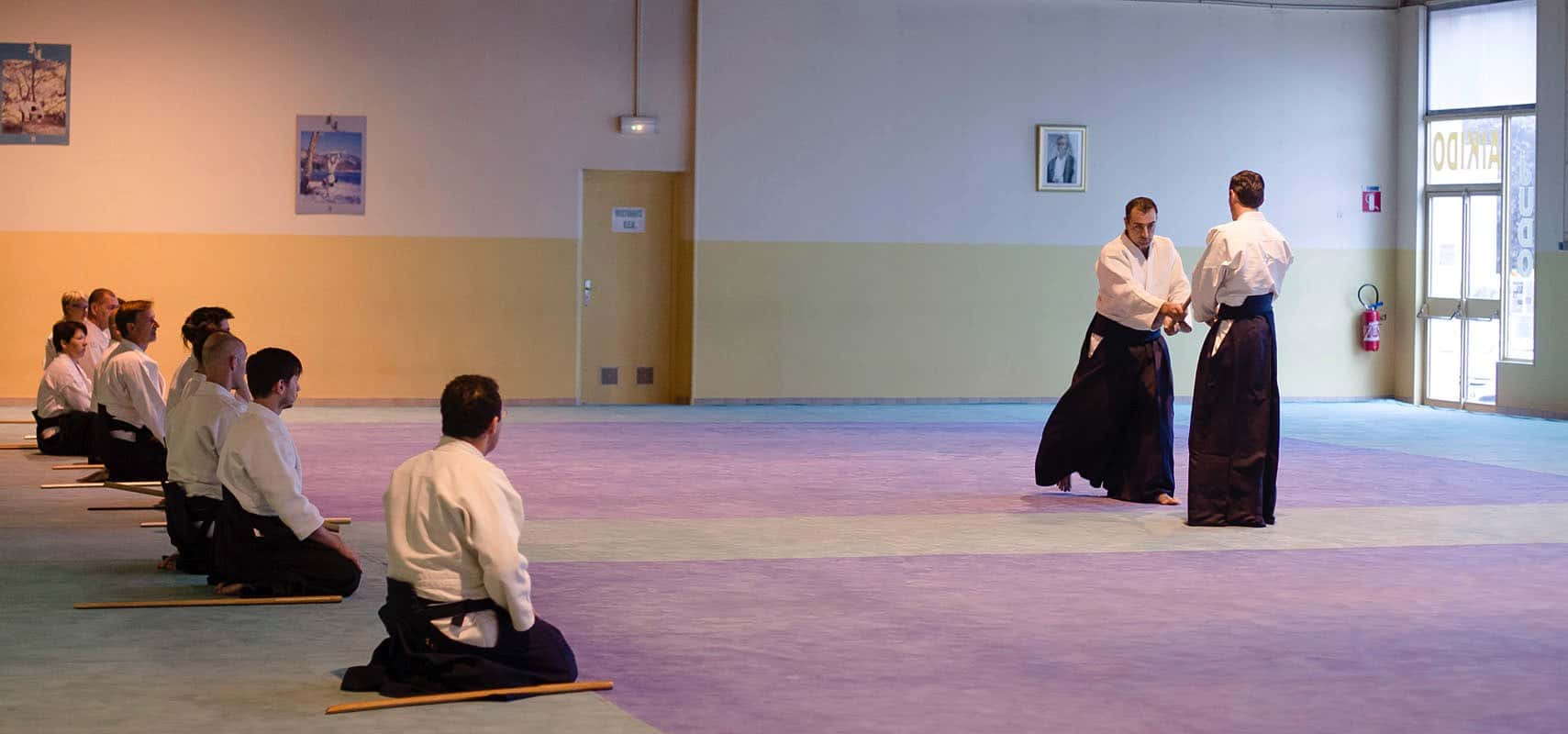 Stage-Aikido-Lyonnais-2013-06-Universite-FFAB-01