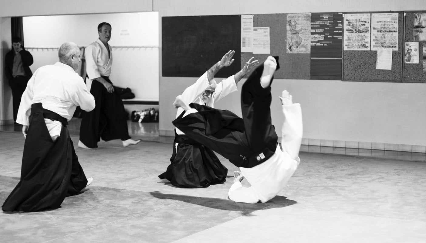 Stage-Aikido-Lyonnais-2013-06-Universite-FFAB-10