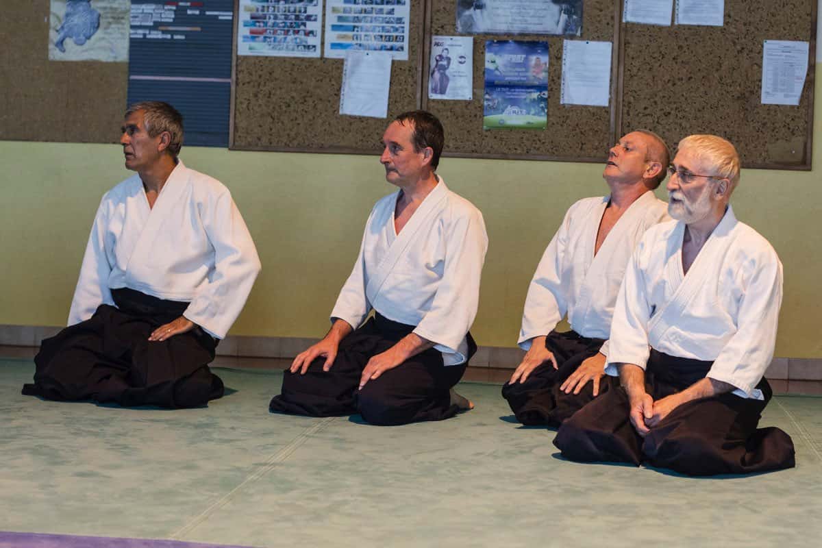 Stage-Aikido-Lyonnais-2013-06-Universite-FFAB-11