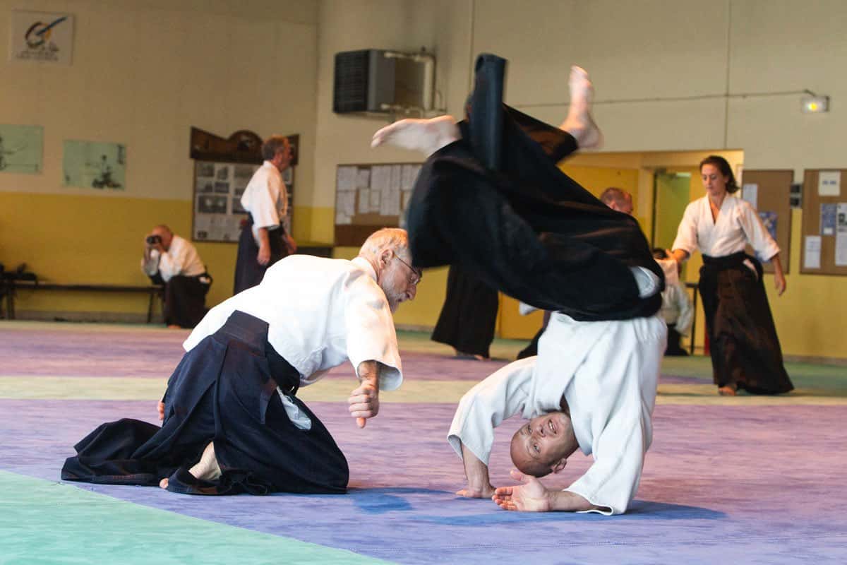Stage-Aikido-Lyonnais-2013-06-Universite-FFAB-16