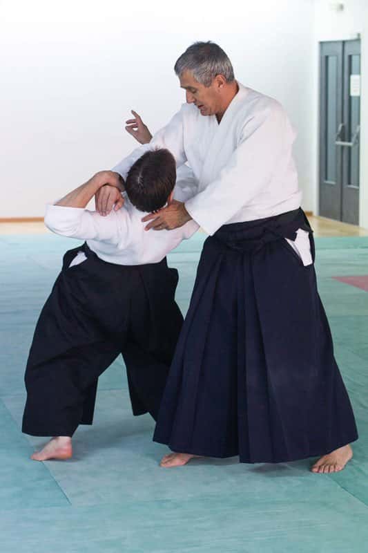 Formation-Aikido-Lyonnais-2013-12-BF-1-03