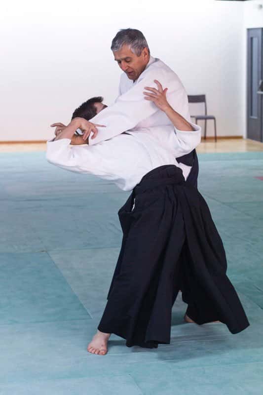 Formation-Aikido-Lyonnais-2013-12-BF-1-04