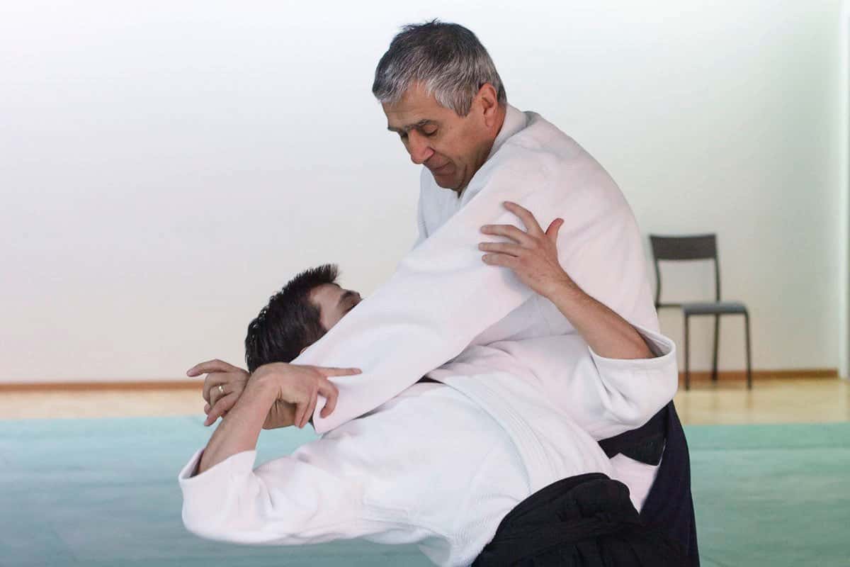 Formation-Aikido-Lyonnais-2013-12-BF-1-05