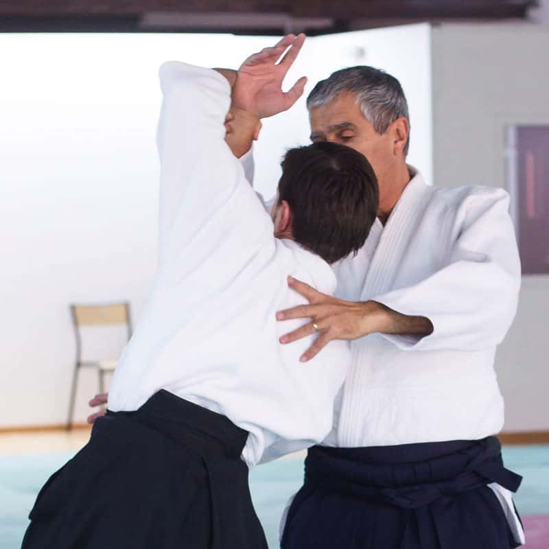 Formation-Aikido-Lyonnais-2013-12-BF-1-06