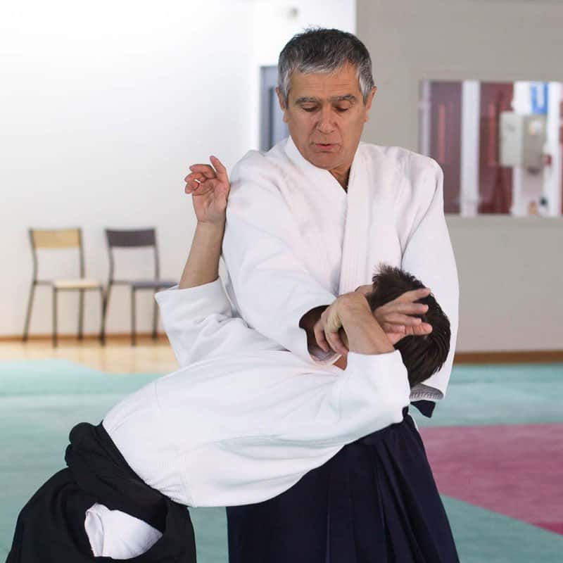 Formation-Aikido-Lyonnais-2013-12-BF-1-07