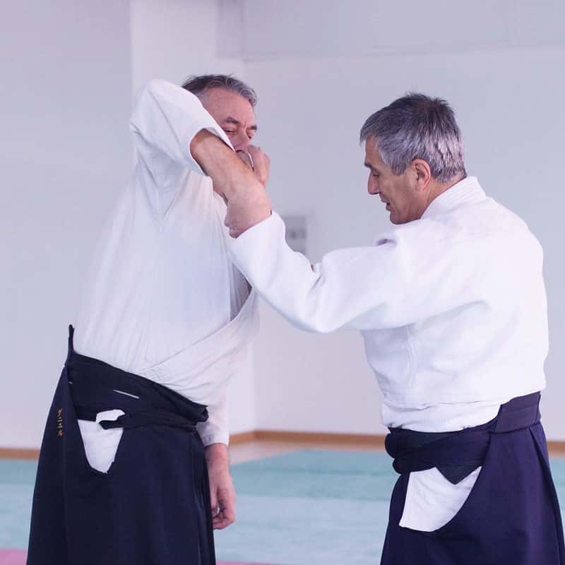 Formation-Aikido-Lyonnais-2013-12-BF-1-08