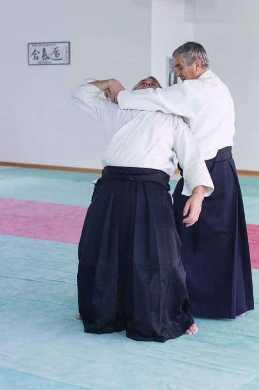 Formation-Aikido-Lyonnais-2013-12-BF-1-09