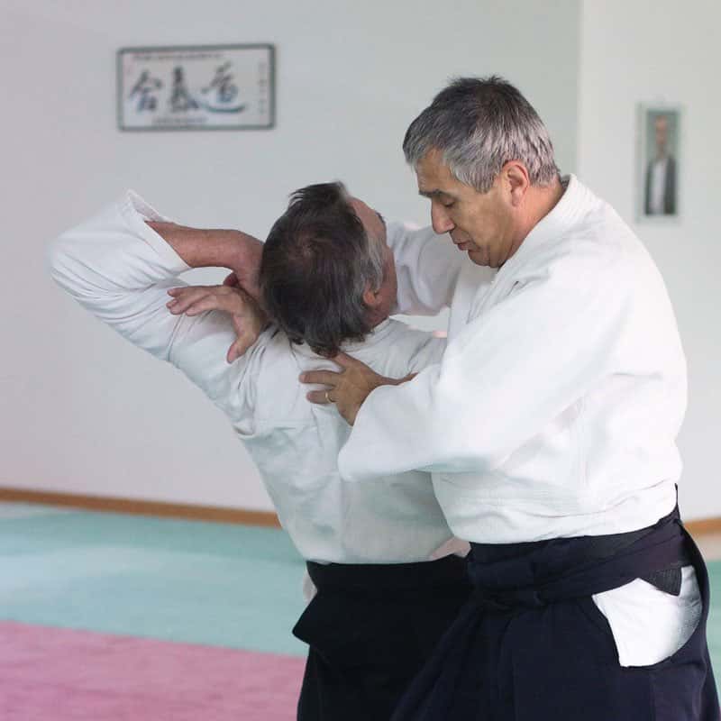 Formation-Aikido-Lyonnais-2013-12-BF-1-10