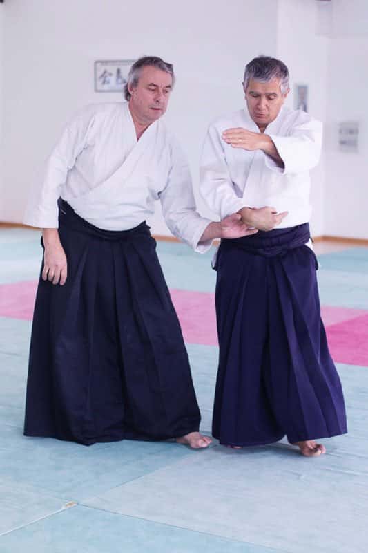 Formation-Aikido-Lyonnais-2013-12-BF-1-11