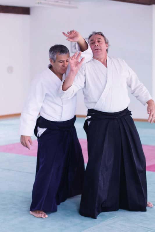 Formation-Aikido-Lyonnais-2013-12-BF-1-12