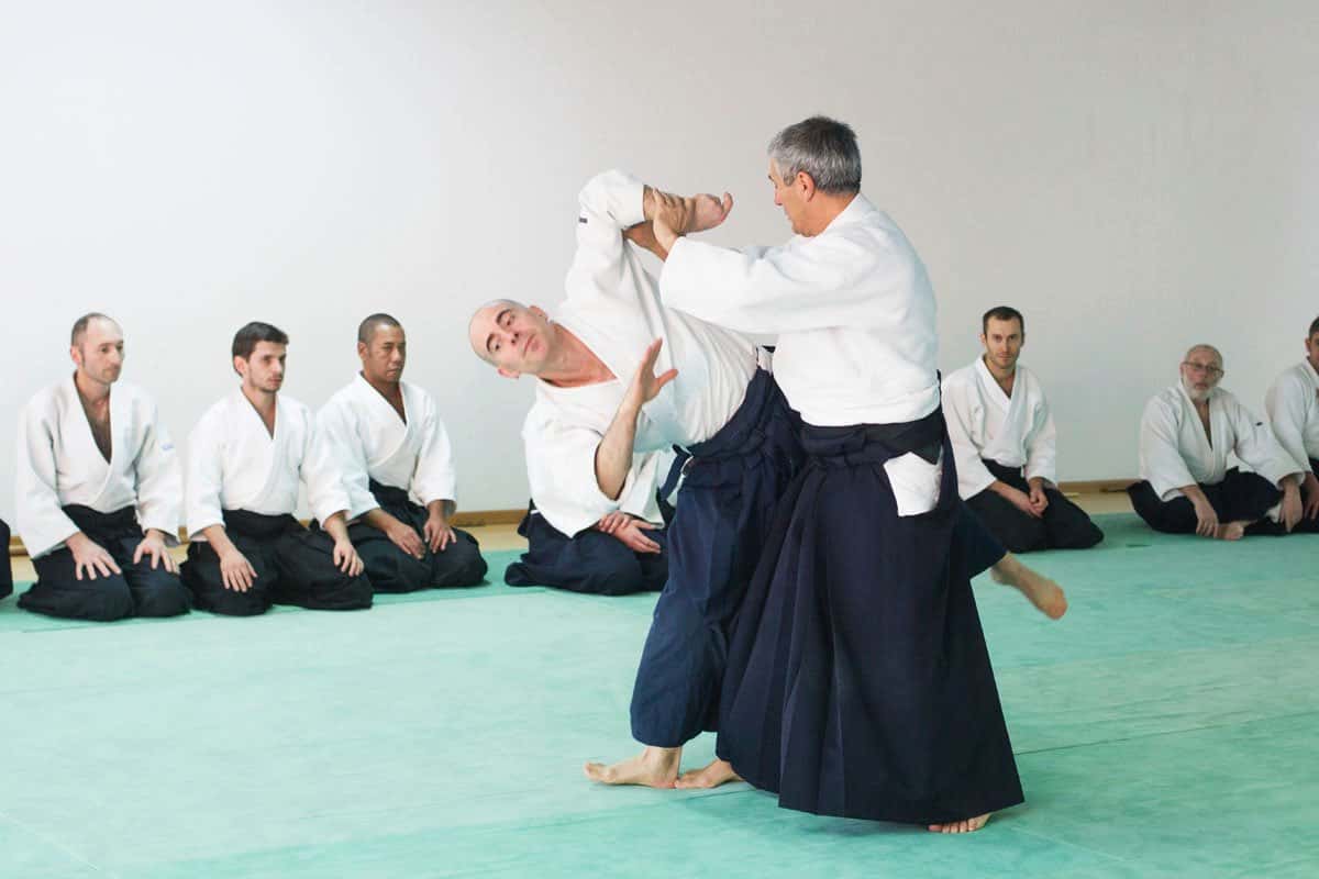 Formation-Aikido-Lyonnais-2013-12-BF-1-13