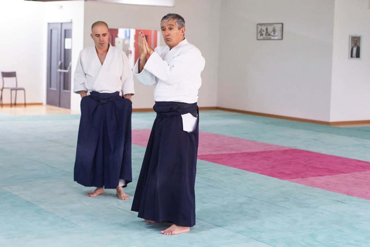 Formation-Aikido-Lyonnais-2013-12-BF-1-14