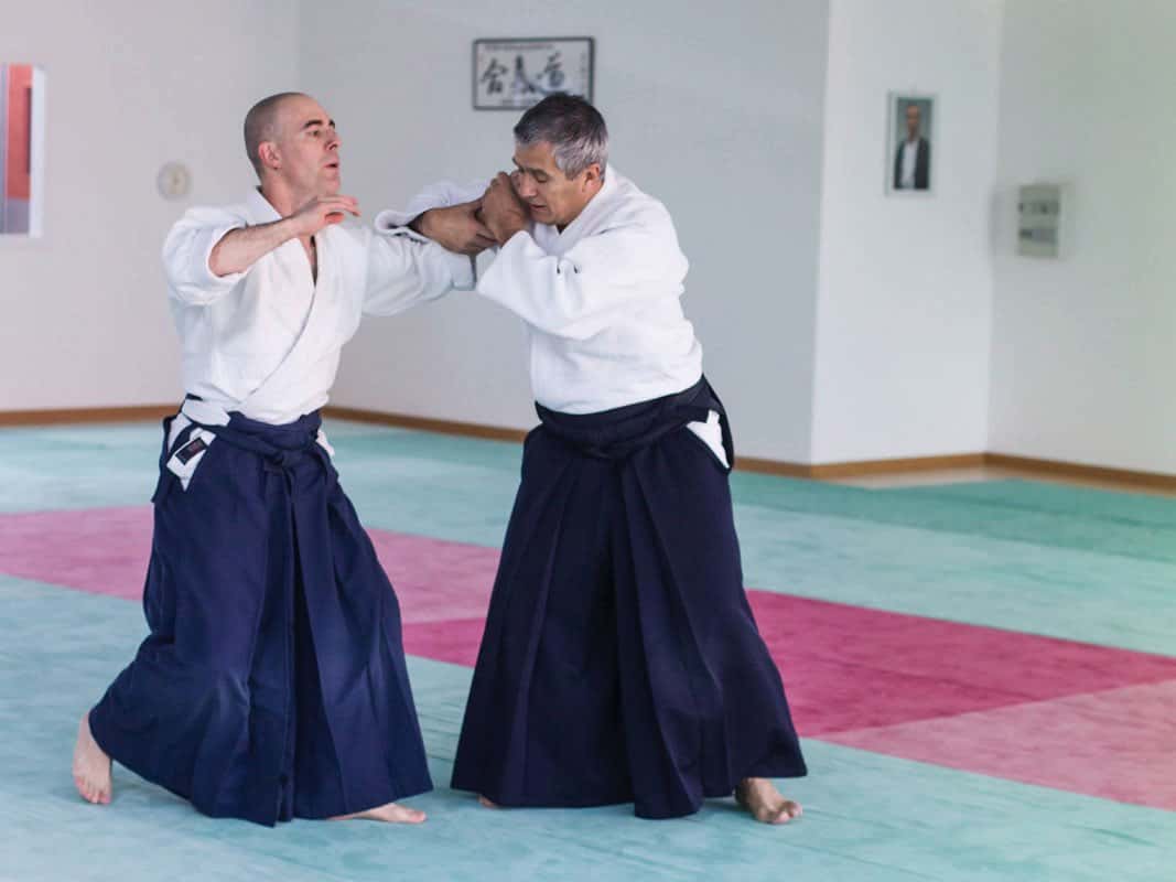 Formation-Aikido-Lyonnais-2013-12-BF-1-15