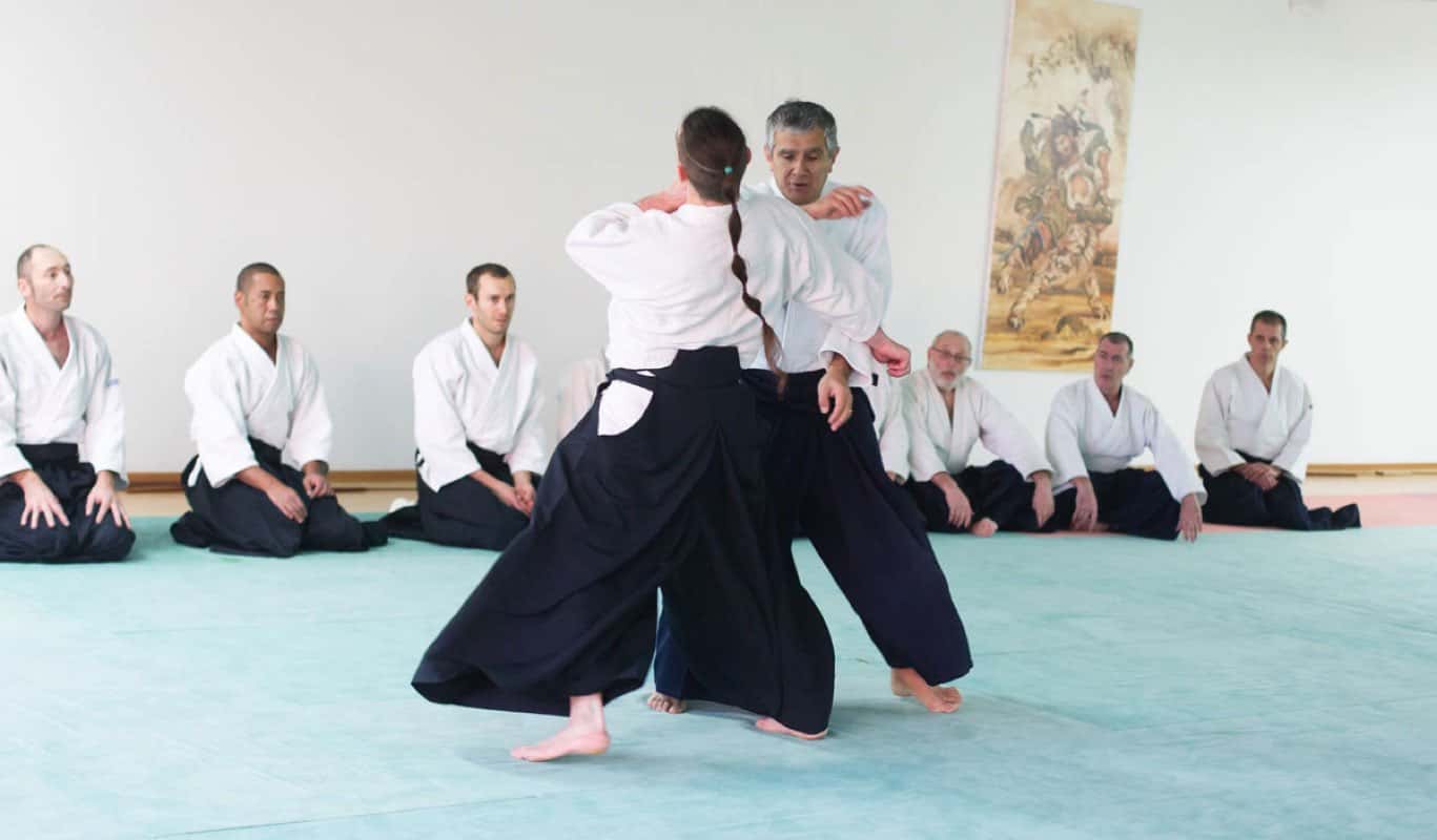 Formation-Aikido-Lyonnais-2013-12-BF-1-16