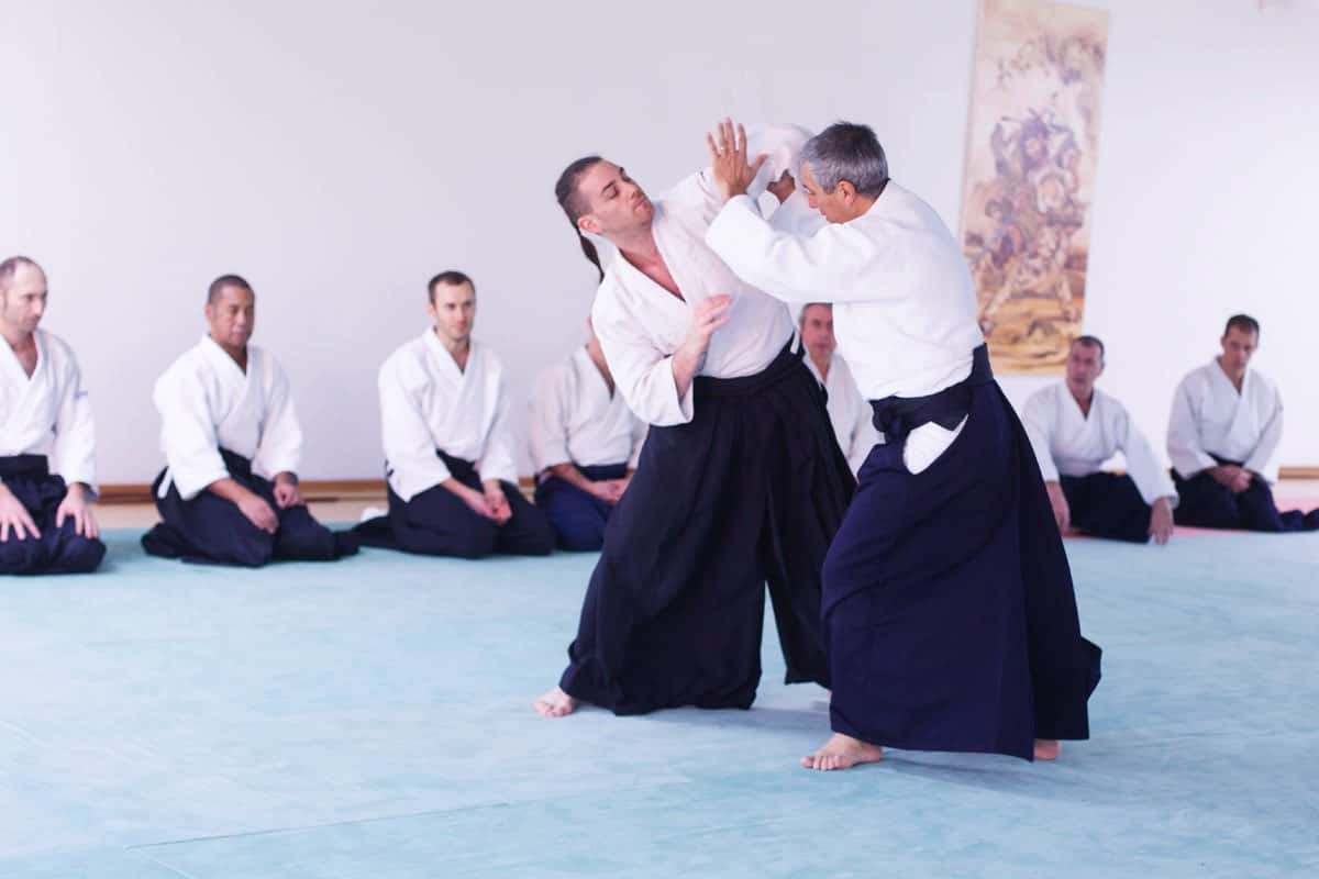 Formation-Aikido-Lyonnais-2013-12-BF-1-17