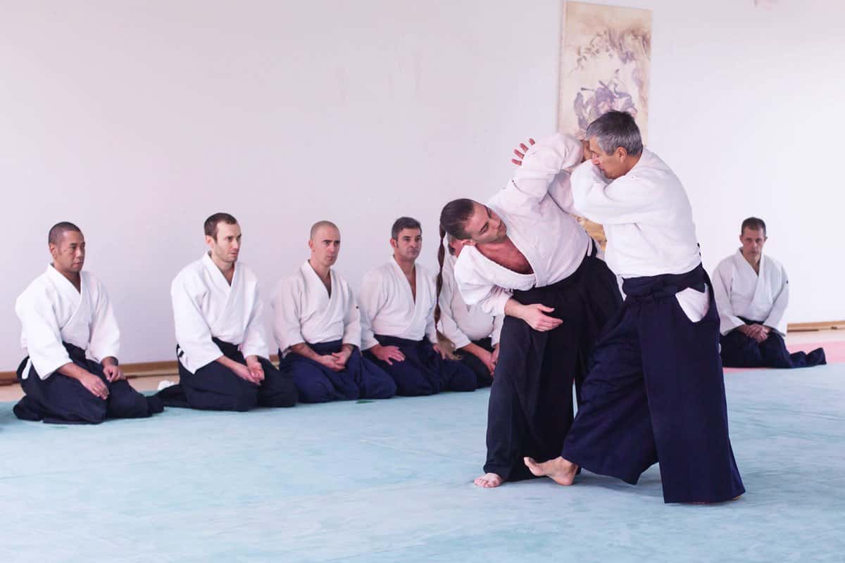 Formation-Aikido-Lyonnais-2013-12-BF-1-18