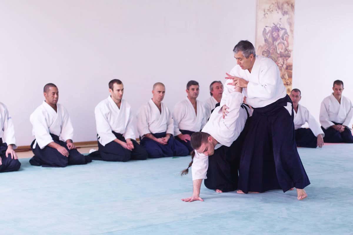 Formation-Aikido-Lyonnais-2013-12-BF-1-19