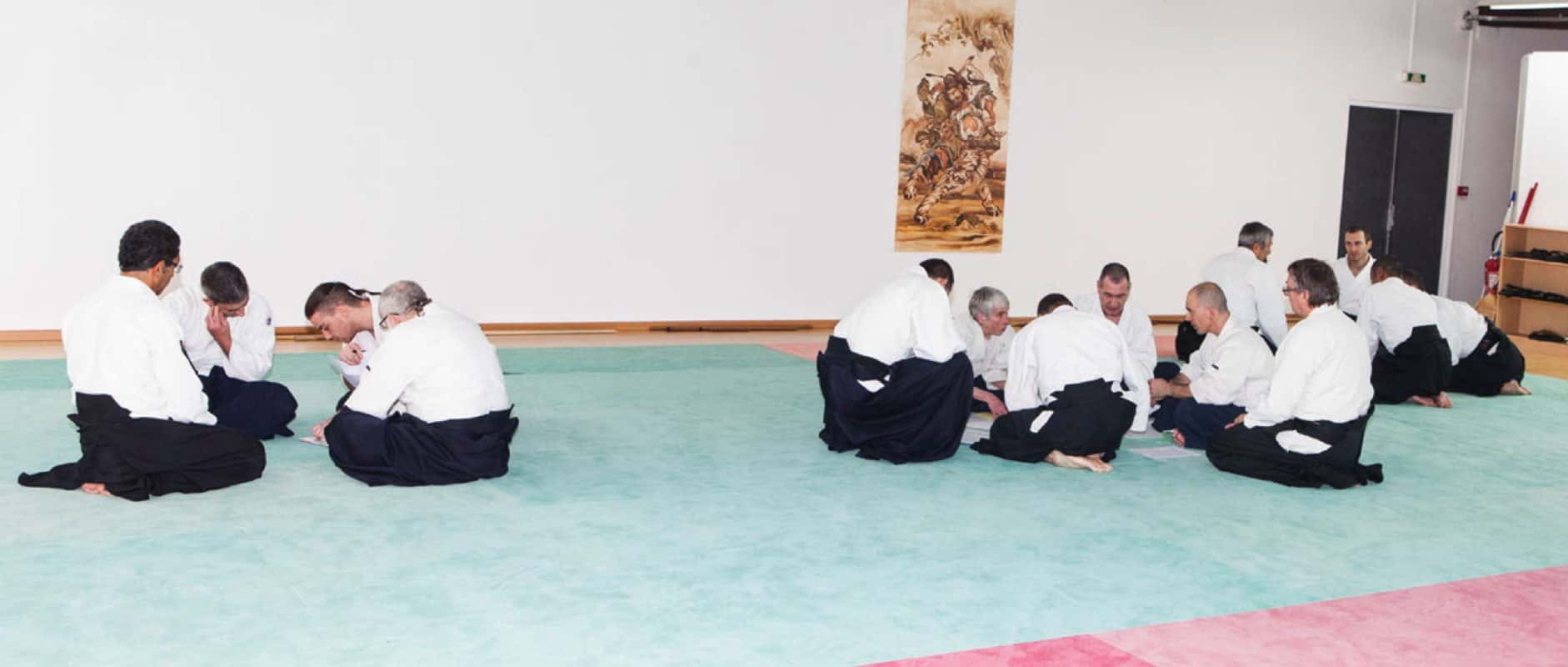 Formation-Aikido-Lyonnais-2013-12-BF-1-22