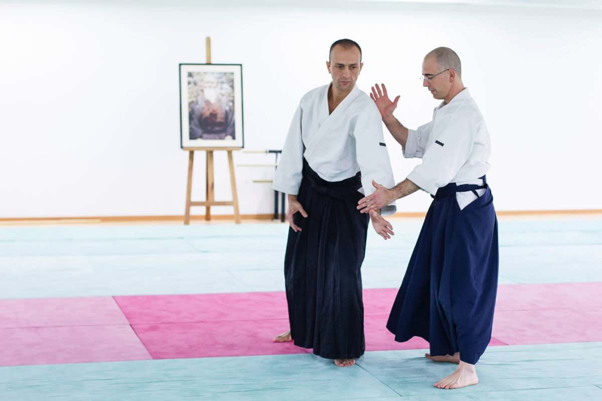 Formation-Aikido-Lyonnais-2013-12-BF-1-24